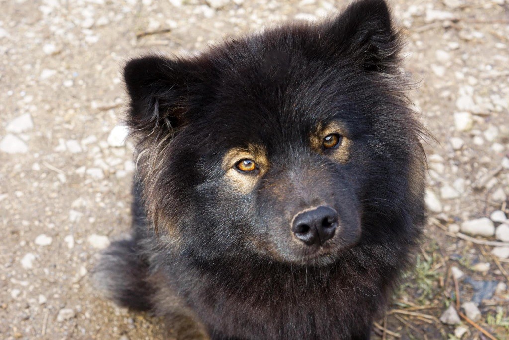 Unalome joie Du Temple Namasté De Benthéa