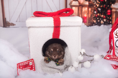 Arc en ciel en Orange